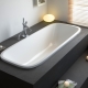 Built-in bathtubs: types, selection tips