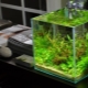 Aquarium cubes: features, sizes and design rules