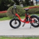 Children's electric bikes: varieties, brands, choice, rules of use