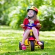 Children's tricycles: model rating and selection rules