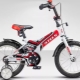 Stels Kids' Bikes: Varieties and Tips for Choosing