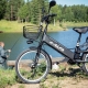 Electric bikes: varieties, brands, choice