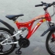 How to choose a children's speed bike?