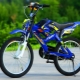 How to choose a children's motorcycle bike?