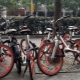 Chinese bicycles: brand overview