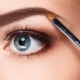 Eyebrow cosmetics: types and features of choice