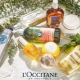 L'Occitane cosmetics: product overview, recommendations for selection and use