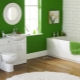 Paint for the bathroom: varieties, brands, choice