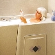 Sedentary acrylic bathtubs: features and types
