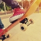Skateboards Termit: a variety of models and a selection of accessories