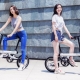 Folding Electric Bicycles for Adults