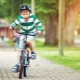 Bicycles for boys 7 years: a review of models and tips for choosing