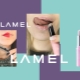 All About Lamel Professional Makeup