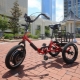Adult tricycles: features, brands, choice, use