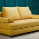 Pushe sofas: description and features of the choice
