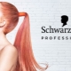 Features of Schwarzkopf Professional cosmetics