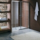 Glass shower doors: features, sizes and design