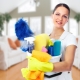 How to make a resume of a housemaid?