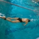 Fitness equipment for swimming in the pool: varieties, tips for use and selection