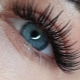 The effect of wet eyelashes in the extension