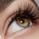 How to make eyelashes thick and long at home?