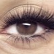 Ray Effect Eyelash Extensions