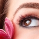 Features and technology of ciliary eyelash extensions