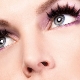 All about false eyelashes