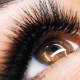 All About 7D Eyelash Extensions