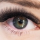 All about 8D eyelashes