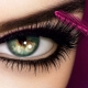 All About Ardell Eyelashes