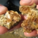 Gold mining from stone