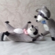 How to make raccoon amigurumi?