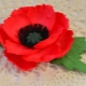 How to make poppies from foamiran?