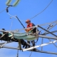 All about the profession electrician-lineman