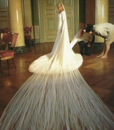 Wedding dress with a very long veil