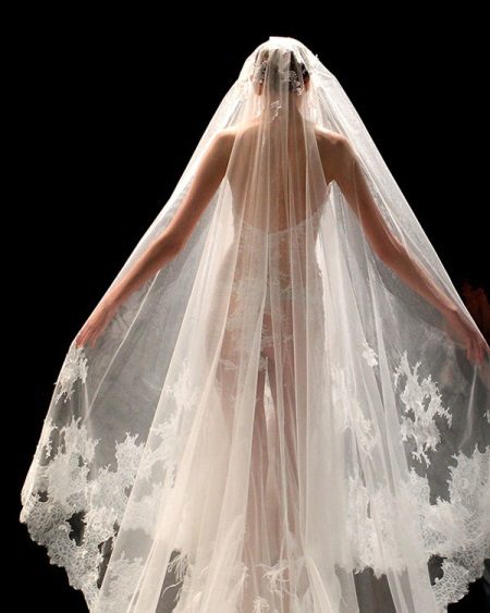 Wedding dress veil transparent