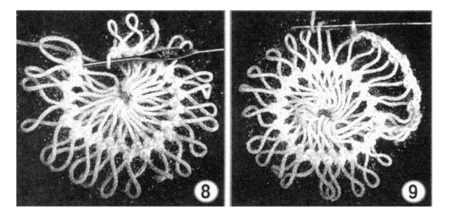 Strikemotiver fra bånd