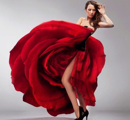 Dress rose
