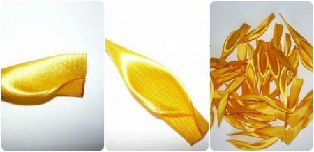 Aster Petal Formation - Step 2