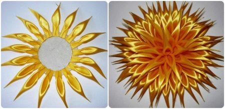 Aster flower collection